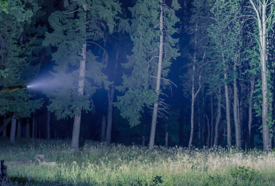 desempeño, analisis, empresarial icza